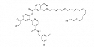 samples of reference standards chiroblock