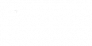 special non-natural derivative of a carbohydrate by chiroblock