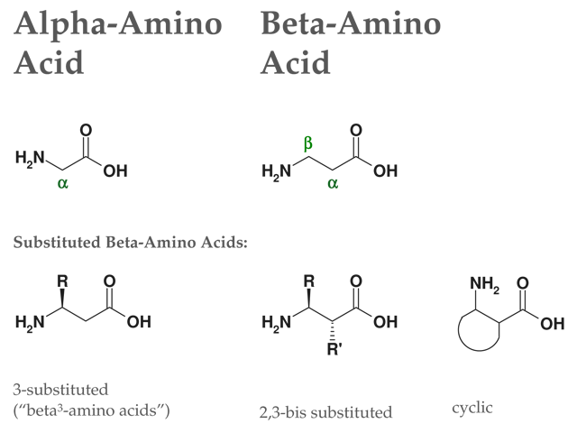 structure beta amino acids chiroblock