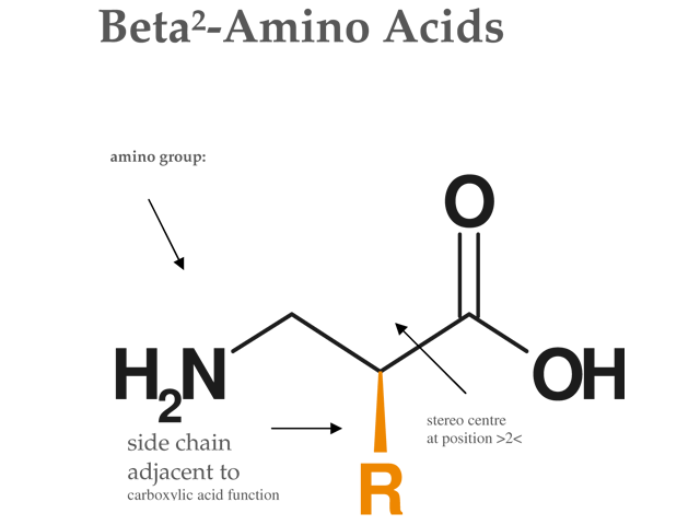 structure-beta2-amino-acids