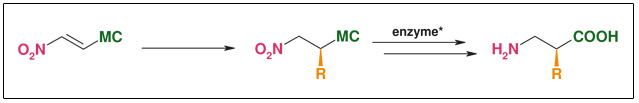 BetaAS enzymatic resolution